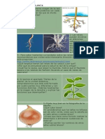 Partes de La Planta 3º - 2014