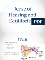 Sense of Hearing and Equilibrium