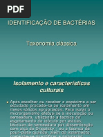 Aula2 Identificao Bacterias