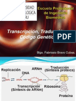 Transcripcion - Traduccion y Codigo Genetico