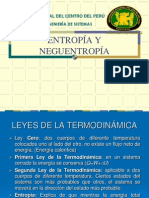 entropía y neguentropía.pdf