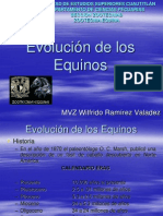 Evolucion de Los Equinos