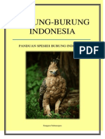 Burung