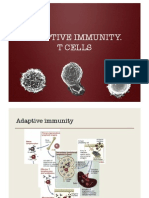 Adaptive Immunity. ! T Cells