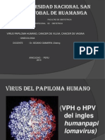 Ginecologia - VPH - Copia