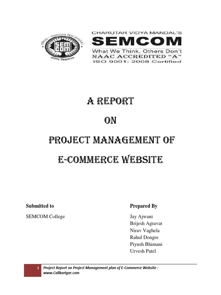 Project Management Process Report For Website Developement | PDF ...