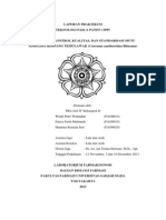 Laporan Praktikum TPP Fix