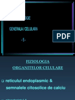 5 Reticul Endoplasmic, Citoschelet, Contractie M