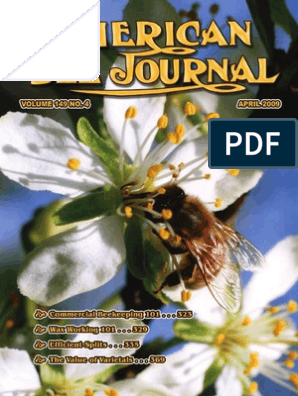 American Bee Journal 2009 04a, PDF, Beekeeping