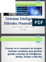 IA 2013 Sistemas Inteligentes Hibridos Neuro