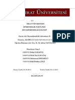 HPLC Raporu