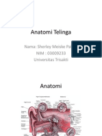 Anatomi Telinga 