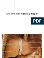 Anatomi Dan Histologi Hepar