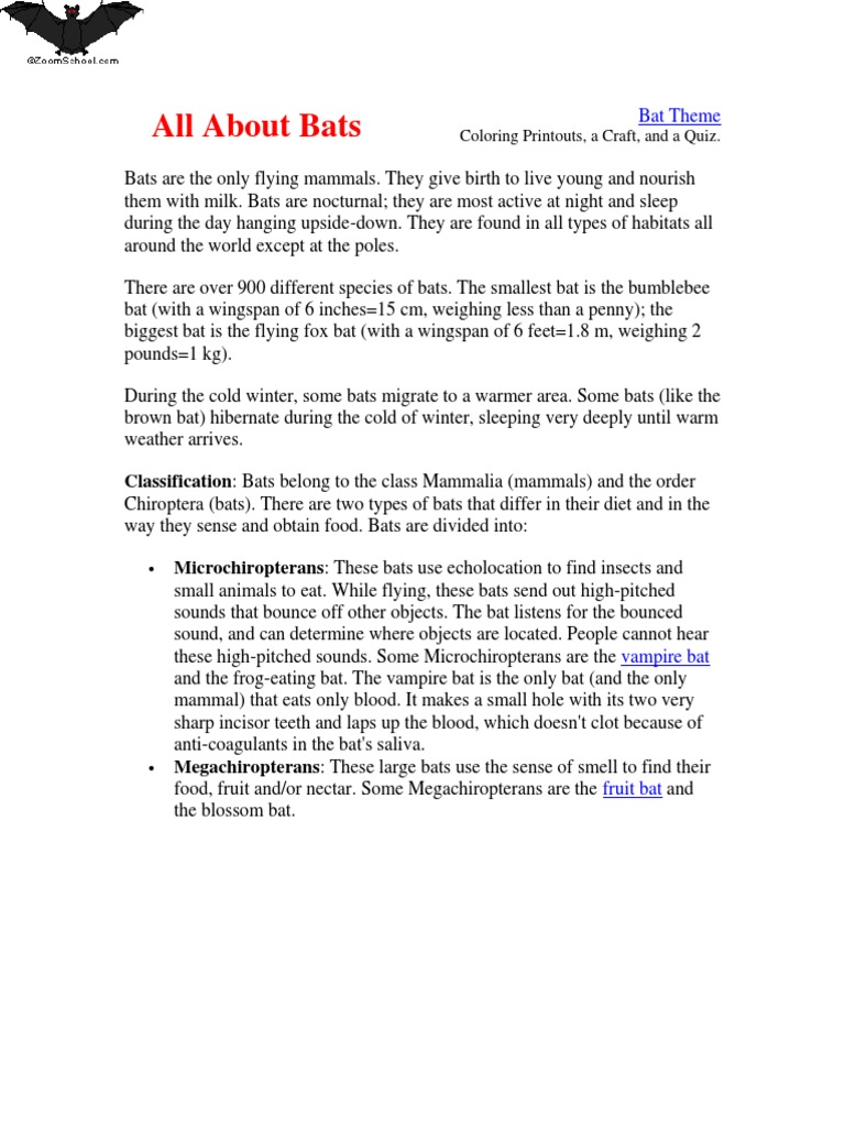 Bats: Facts, Types, and Activities | PDF