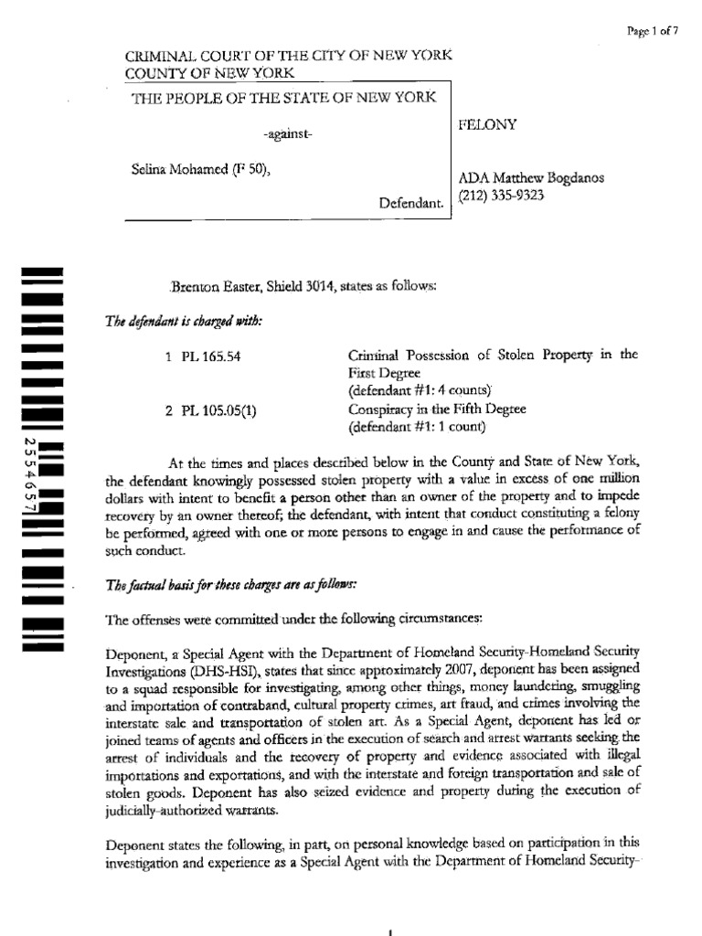 Selina Mohamed Complaint | PDF | Foreign Language Studies
