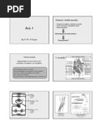 Fisiologia Cardiovascular