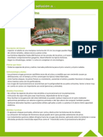 Guía Fitosanitaria17.pdf