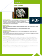 Guía Fitosanitaria19.pdf