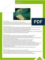 Guía Fitosanitaria27.pdf
