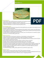 Guía Fitosanitaria28.pdf