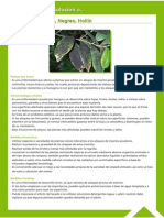 Guía Fitosanitaria30.pdf