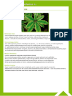 Guía Fitosanitaria33 PDF