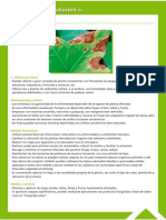 Guía Fitosanitaria34.pdf