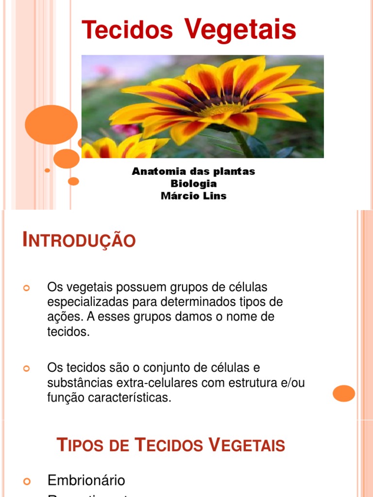 Fgv Sp Com Relação Aos Tecidos Vegetais