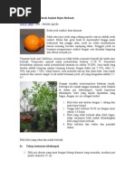 Download Agar Tabulampot Jeruk Sunkist Rajin Berbuah by kharistya SN193177716 doc pdf