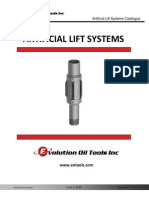Evolution Artificial Lift Systems