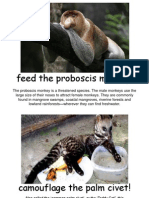 Feed The Proboscis Monkey!