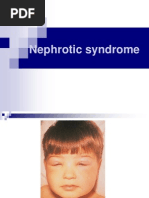 Download sindrom nefrotikppt by Gyta Apriati SN193225062 doc pdf