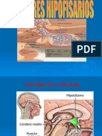 tumores hipofisiarios  