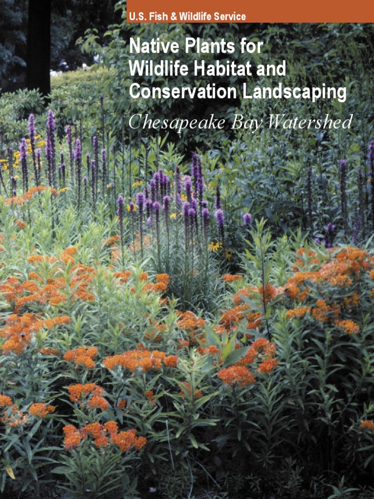 Native Plants For Wildlife Habitat and Conservation Landscaping | PDF ...