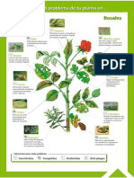 Guía Fitosanitaria6 PDF