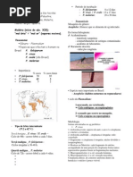 Download Malaria by Yuri Battera SN19328219 doc pdf