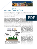 CarbonCycleBackground PDF