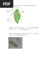 Download Contoh Soal UAP Zoologi Invertebrata by Exma Mutatal Hikmah SN193290444 doc pdf