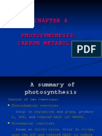 Chapter 6 - Photosynthesis Carbon Metabolism