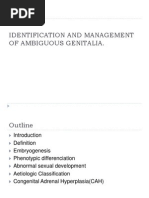 Identification and Management of Ambiguous Genitalia