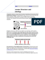 Chromosome Structure and Terminology: Genetics Index Glossary