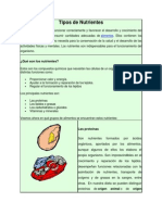 Tipos de Nutrientes