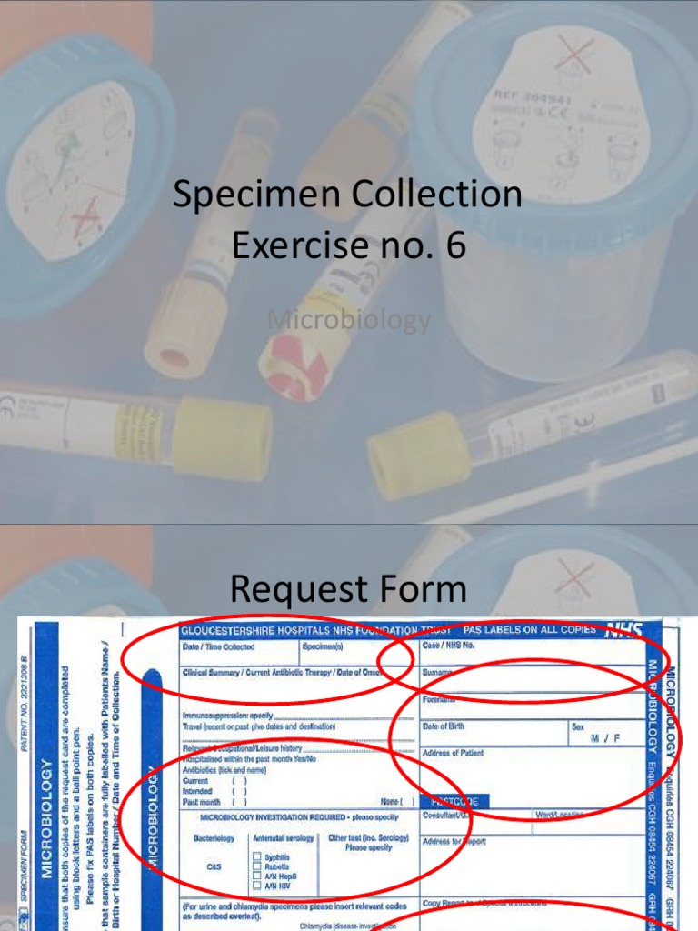 Microbiology Specimen Guidelines | PDF