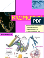 Genetika 8. Struktur Kromosom