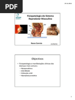 10.- fisiopatologia do sistema reprodutor masculino.pdf