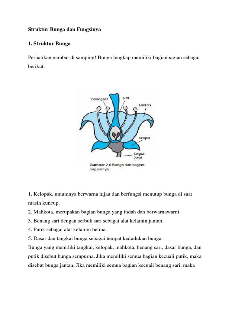 Struktur Bunga Dan Fungsinya