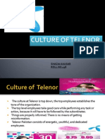 Culture of Telenor 1