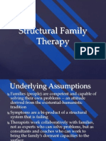 Structural Family Therapy