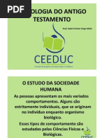 Sociologia do Antigo Testamento