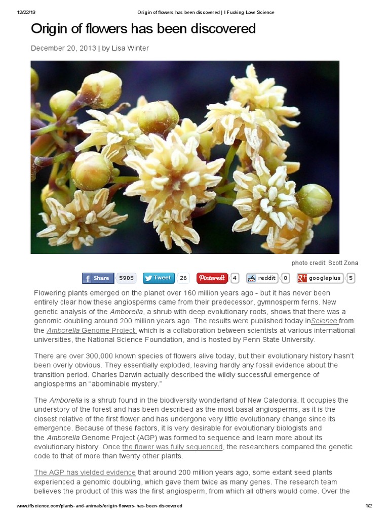 Origin of Flowers Has Been Discovered - I Fucking Love Science | PDF ...